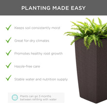 Load image into Gallery viewer, Indoor Outdoor Self-Watering Planter w/ Wheels, Water Gauge
