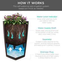 Load image into Gallery viewer, Indoor Outdoor Self-Watering Planter w/ Wheels, Water Gauge
