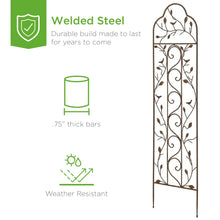 Load image into Gallery viewer, Iron Arched Garden Trellis
