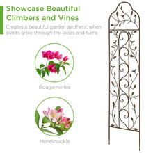 Load image into Gallery viewer, Iron Arched Garden Trellis
