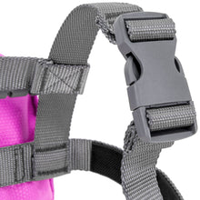 Load image into Gallery viewer, Kids Adjustable Ski Training Harness w/ Leashes, Backpack

