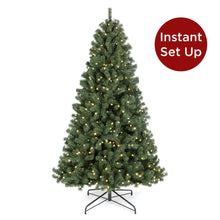 Load image into Gallery viewer, Pre-Lit Instant No Fluff Artificial Spruce Christmas Tree w/ Memory Branches
