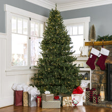 Load image into Gallery viewer, Pre-Lit Hinged Douglas Artificial Christmas Tree w/ Stand
